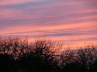 c1177 sunset sky trees